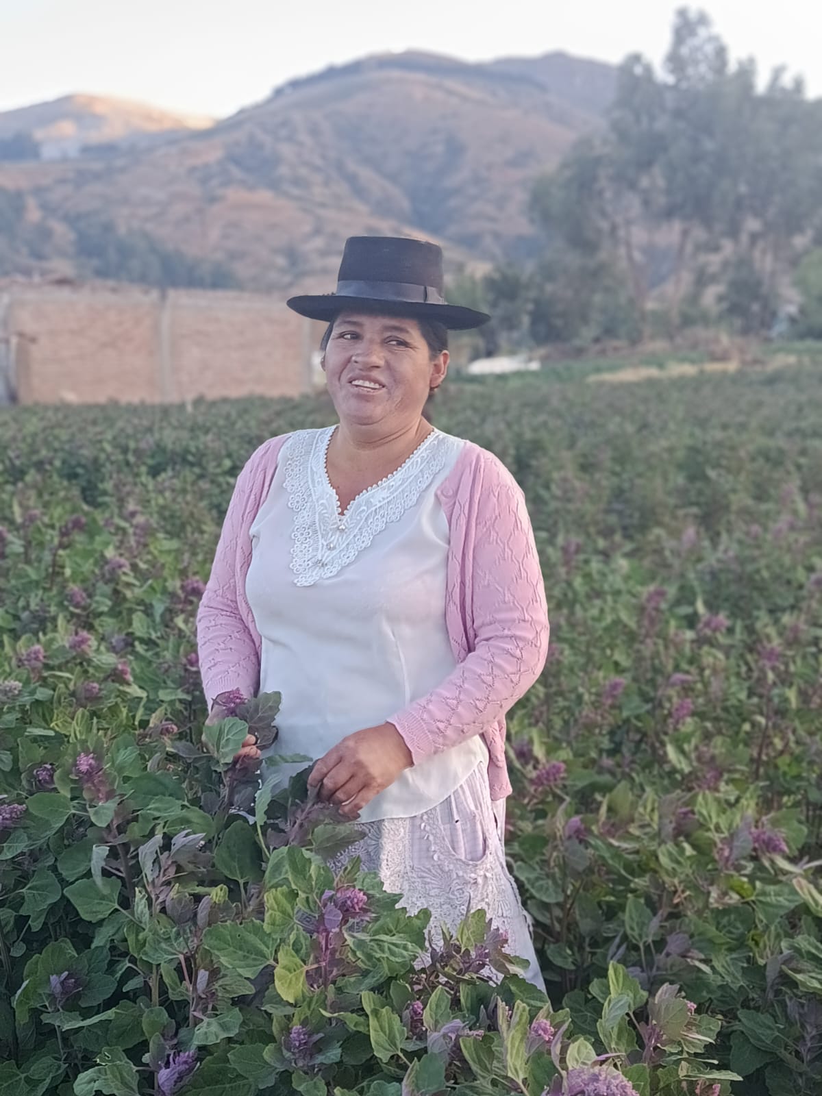 Así enfrentó esta productora ayacuchana de quinua los amenazantes riesgos climáticos de los Andes